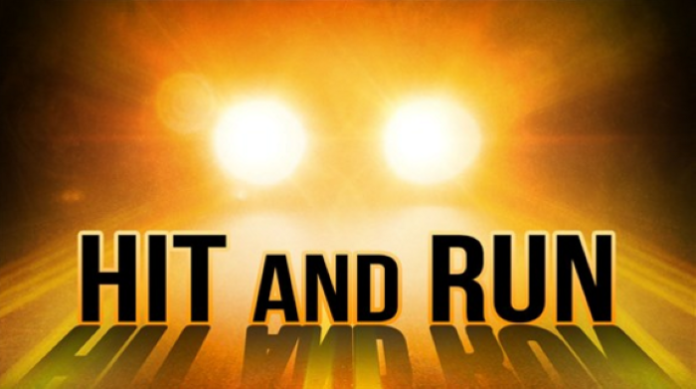 Why are the highest number of hit and run cases in India?